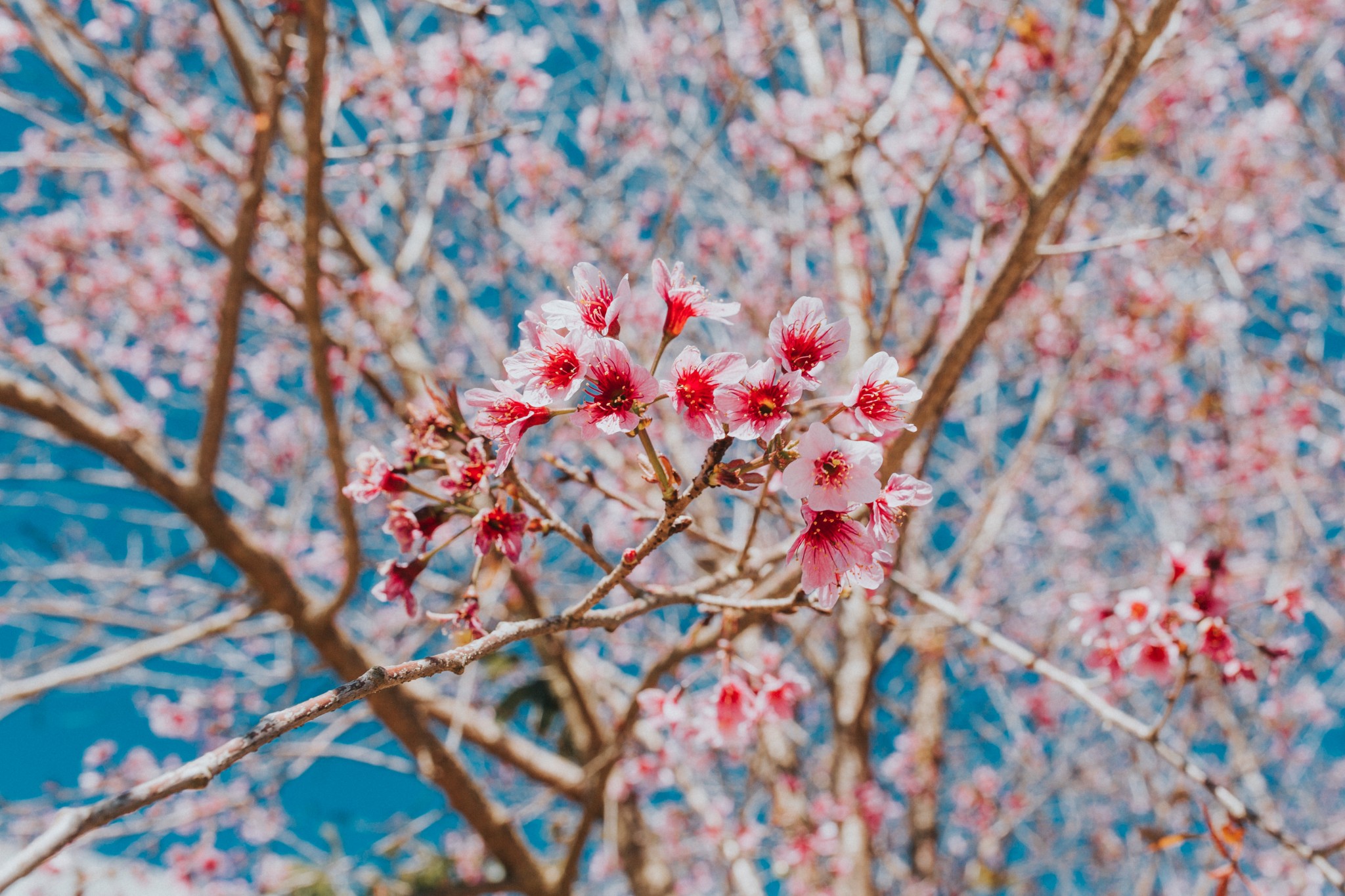 Ảnh bìa